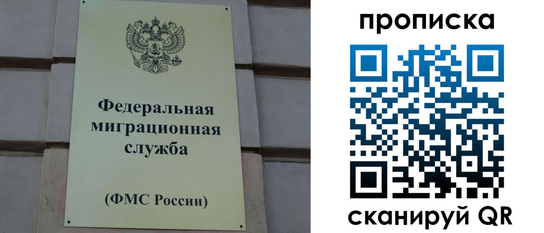 прописка поиск в Орехово-Зуево